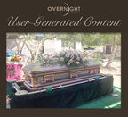 Silver Rose Brush Casket with Pink Velvet Interior - Metal Casket